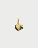 Charm Noce di Cocco