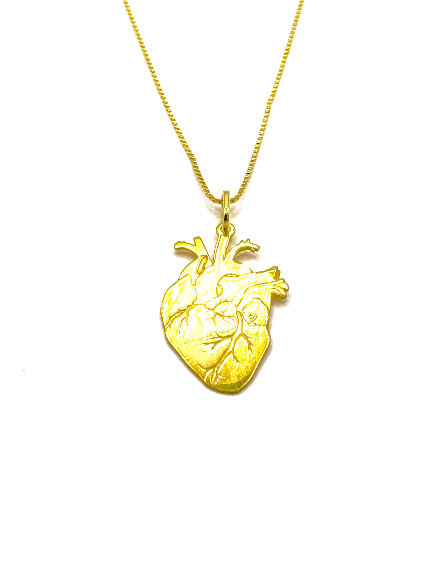 Cuore Anatomico