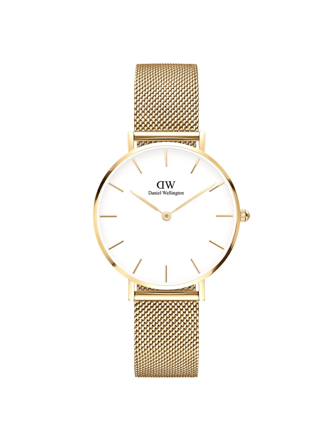 Petite Evergold 36Mm